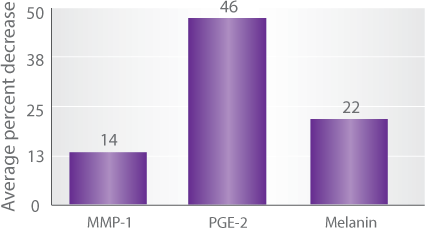 dunsal_chart.png
