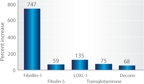 elasticity_increase.png